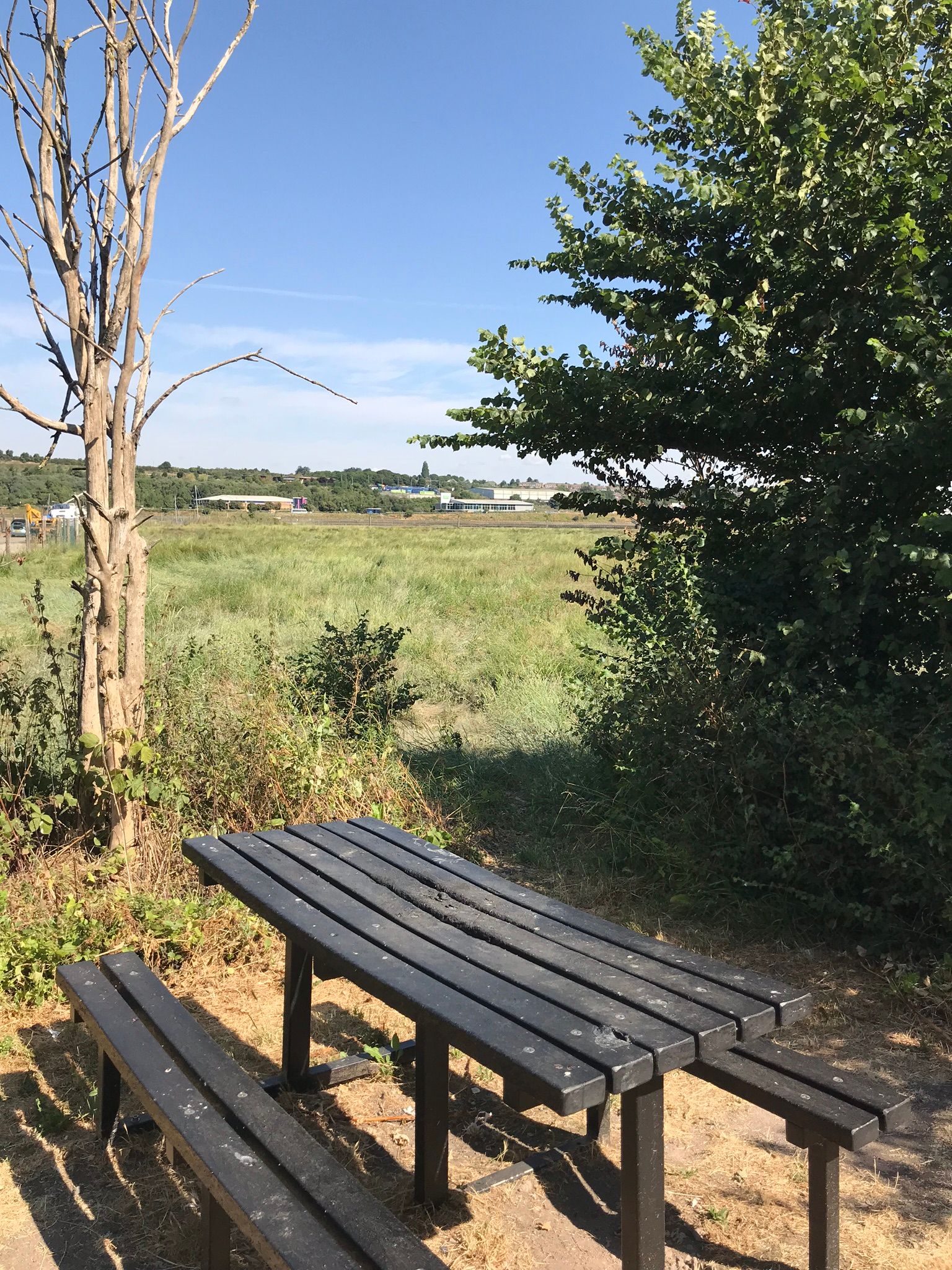 View as you sit at the picnic table and look across the River Medway from Baty's Marsh.