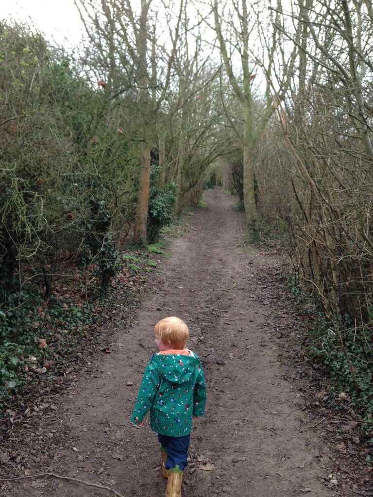 Little boy walking along a woodland path