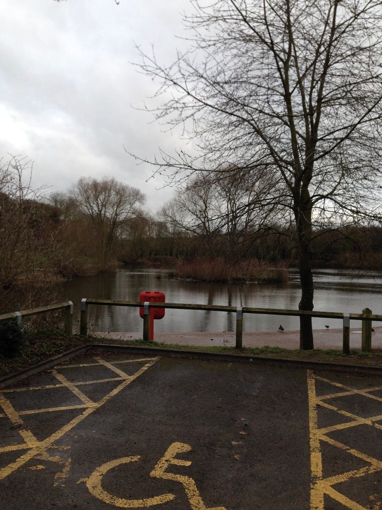 View of the lake from the disabled parking spaces