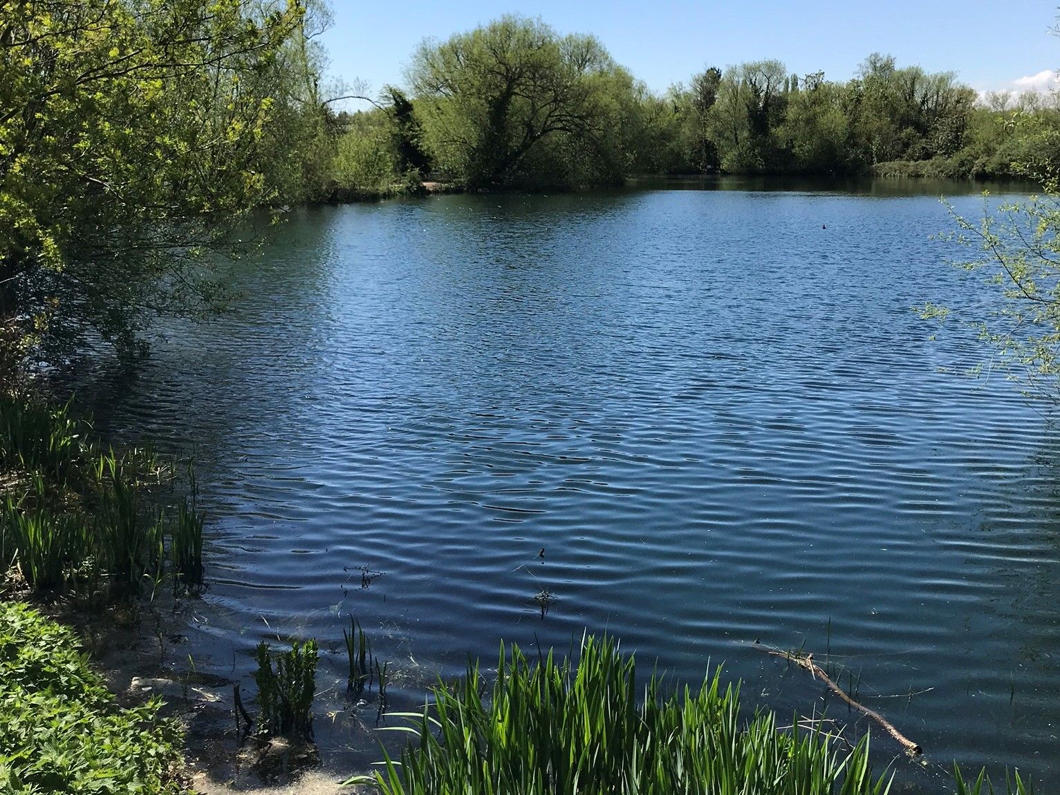 Brooklands fishing lake