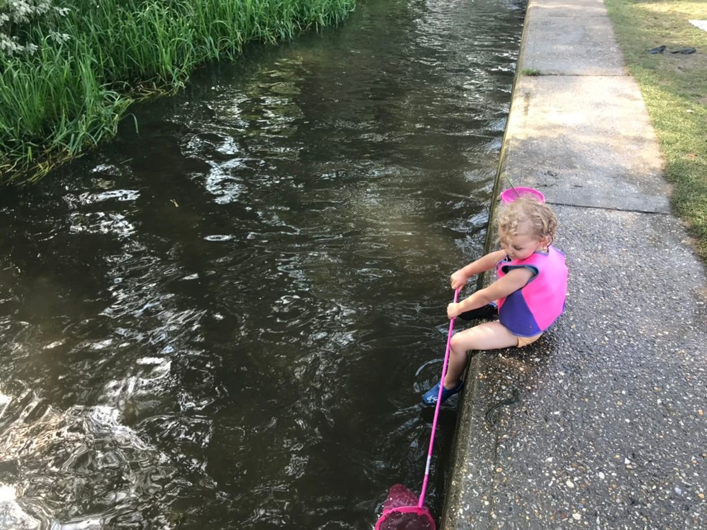 Dipping your net in on the banks fo Eynsford stream