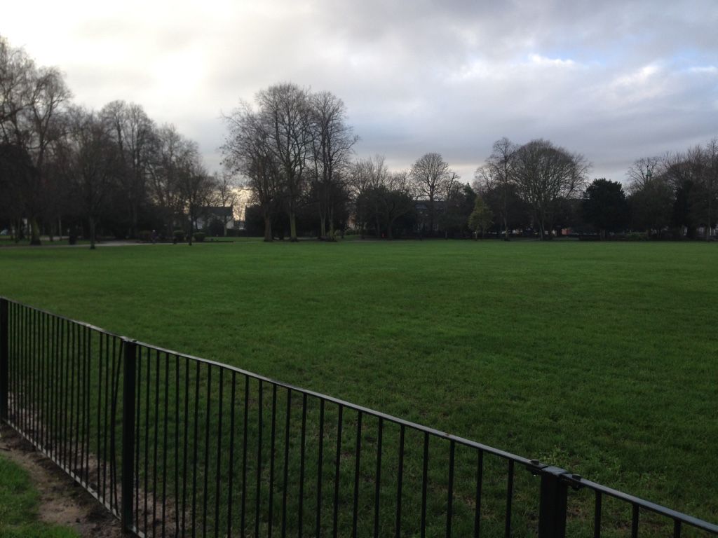 view across the green space at the park