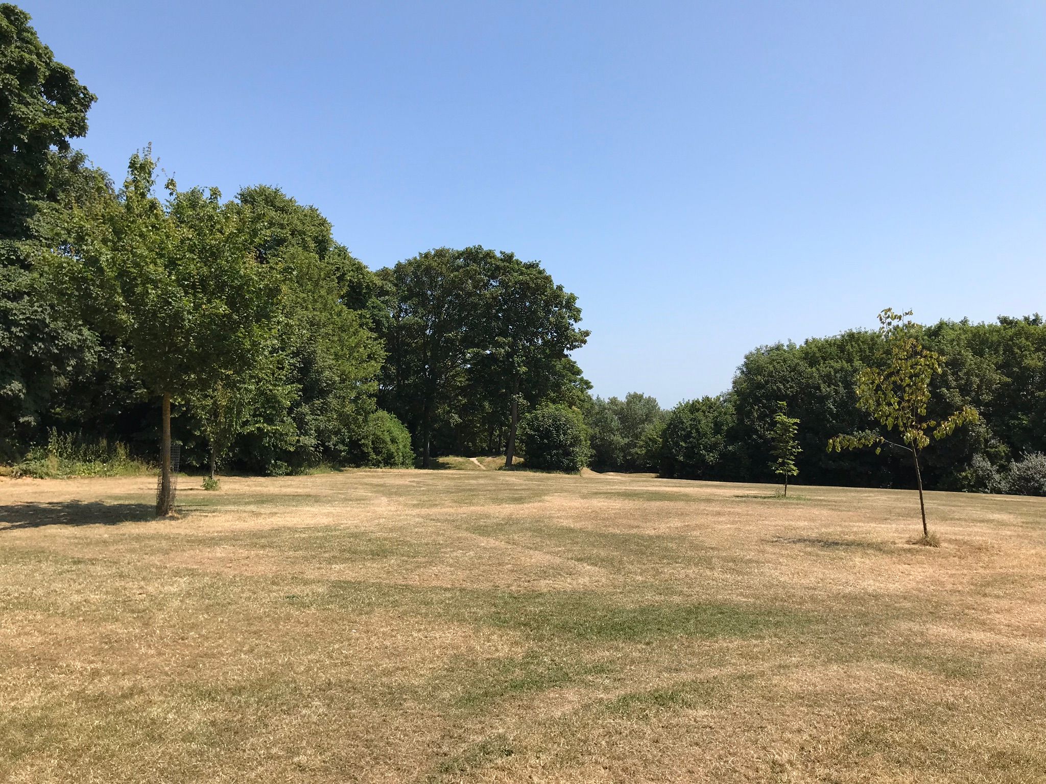 Wide green spaces in the King George VI Memorial Park, perfect for picnics and ball games