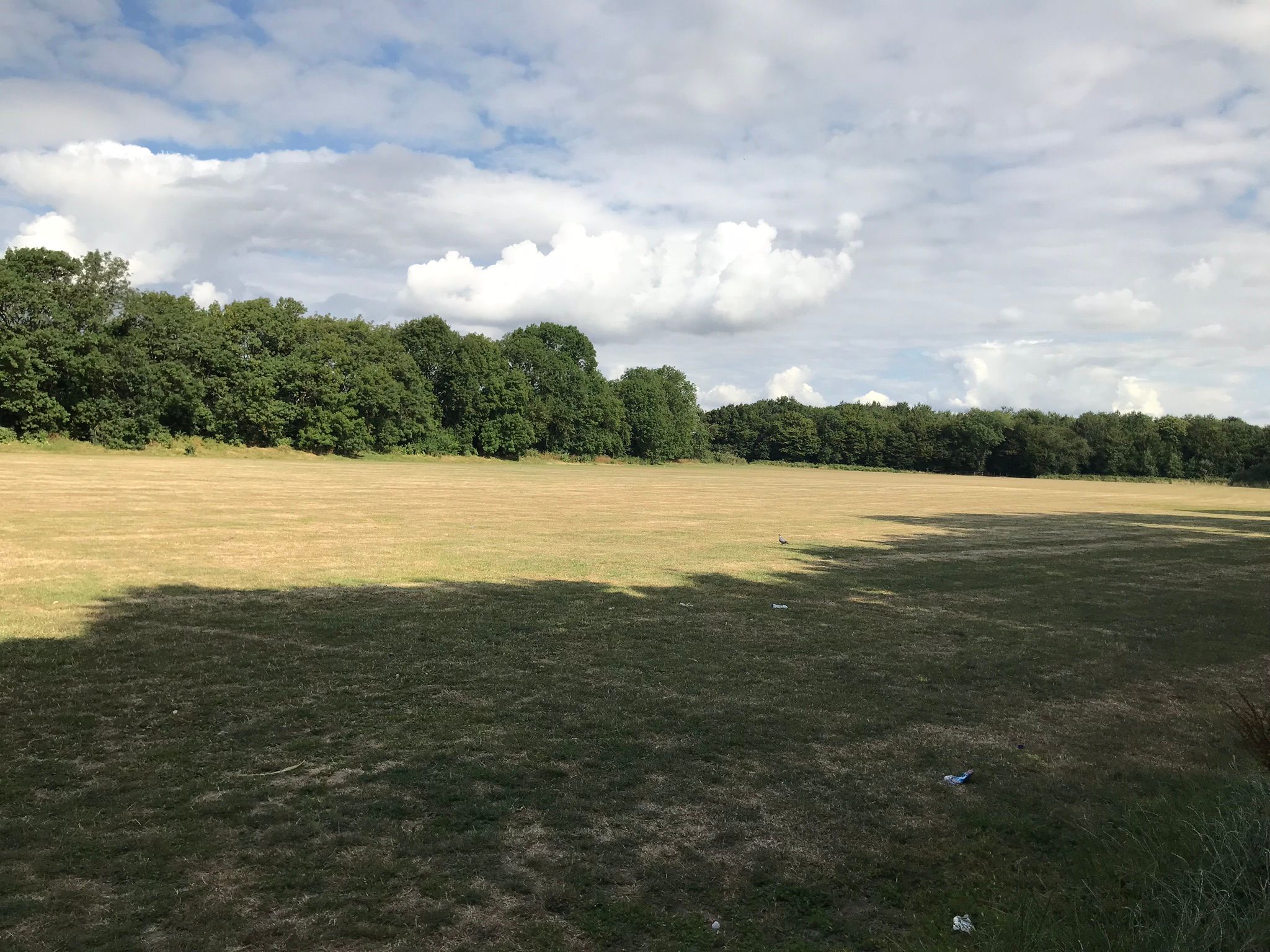 Wide view across the large playing field that sits behind Lordswood play area