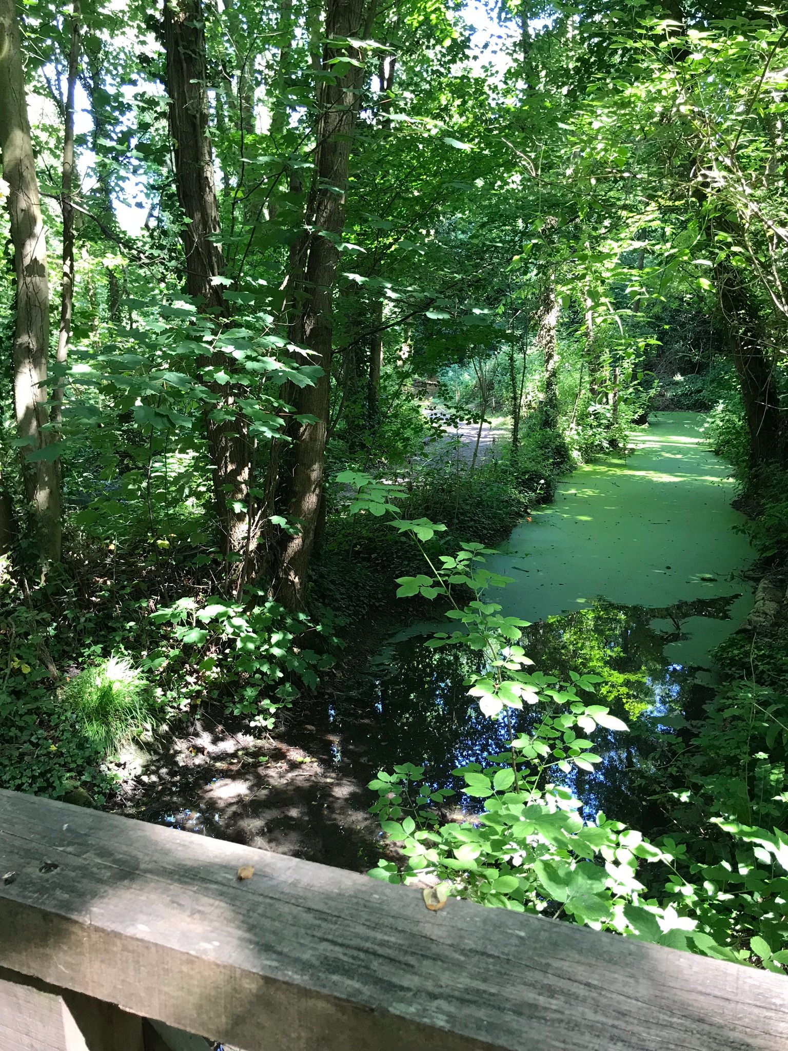 One of the waterways used at OArre Gunpowder works to move the gunpowder components around the site