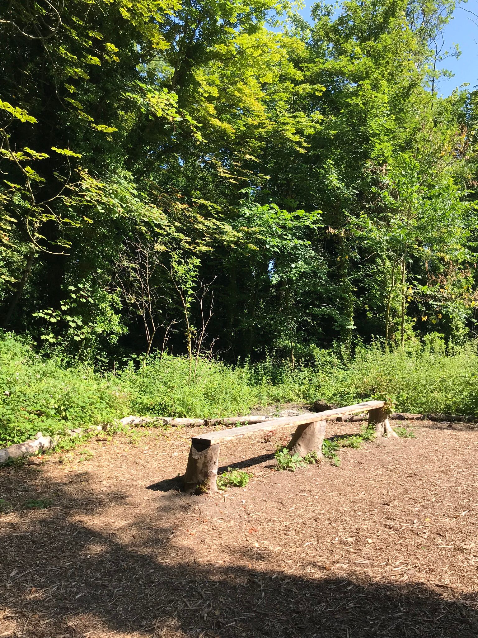A sunny spot in a clearing where you can sit and eat your picnic at Oare Gunpowder Works Country Park