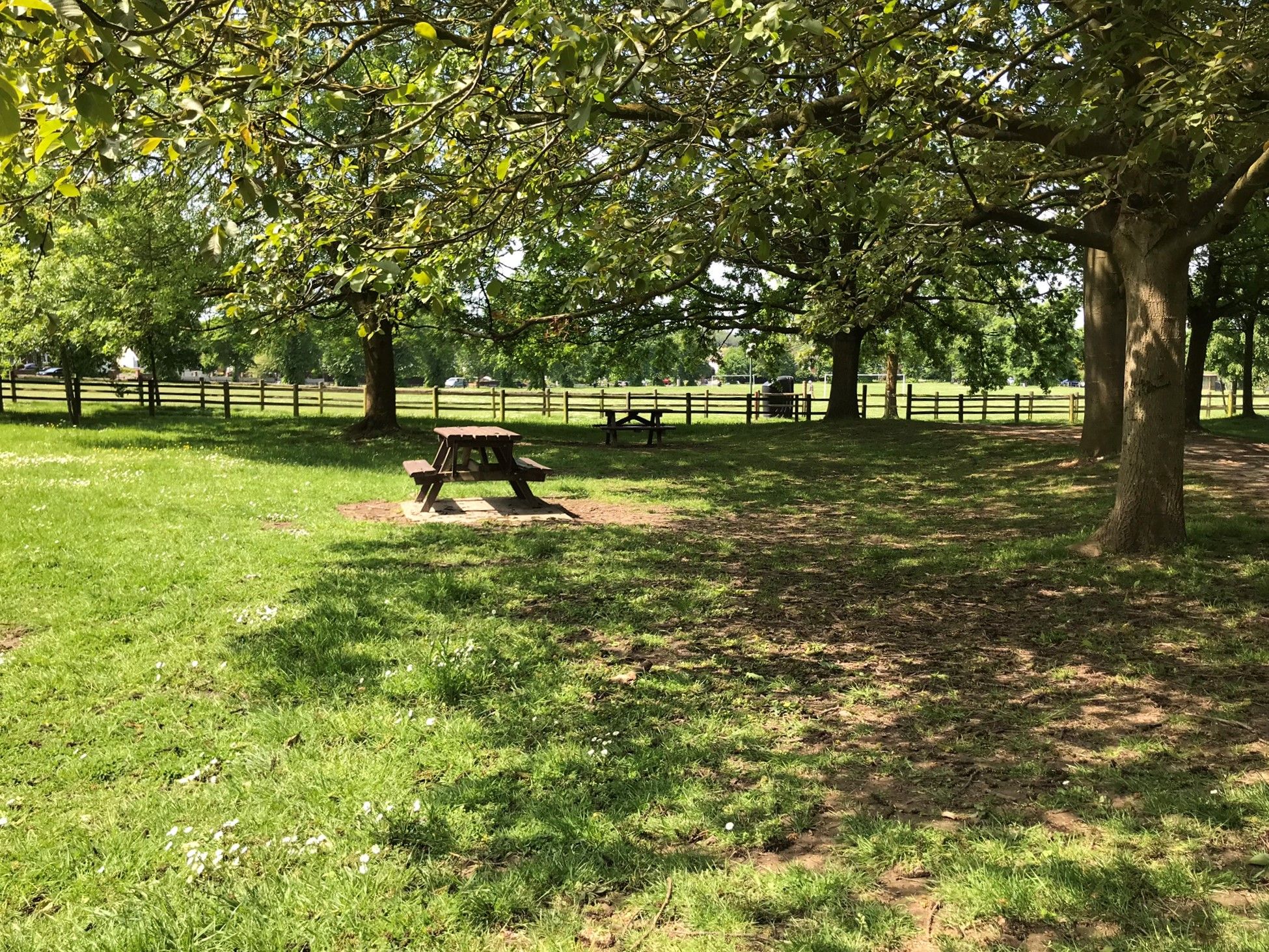picnic tables in the shade looking towards the cricket pitch.