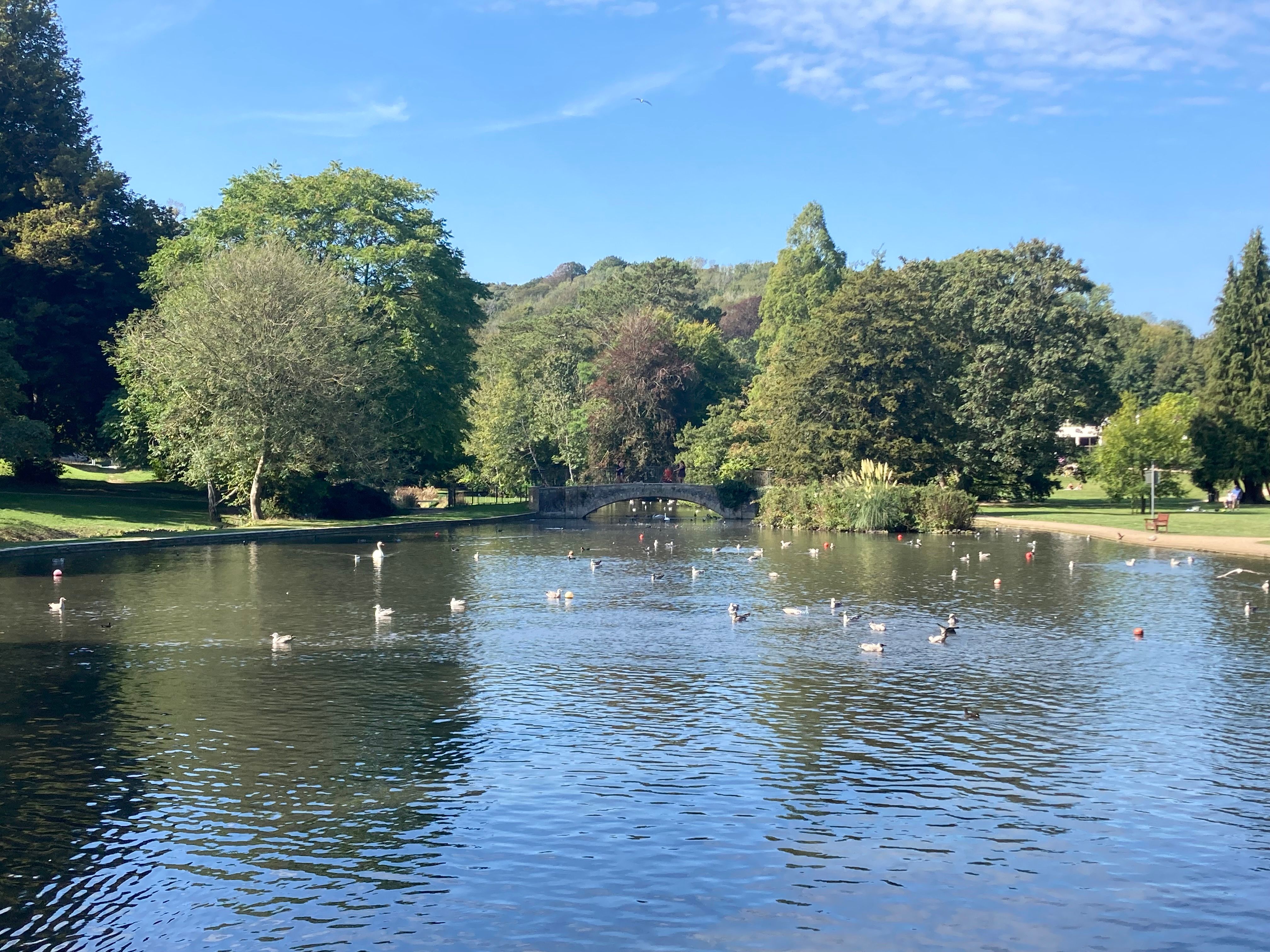 The large lake and water fowl at Kearnsey Abbey and Russell Gardens, Dover