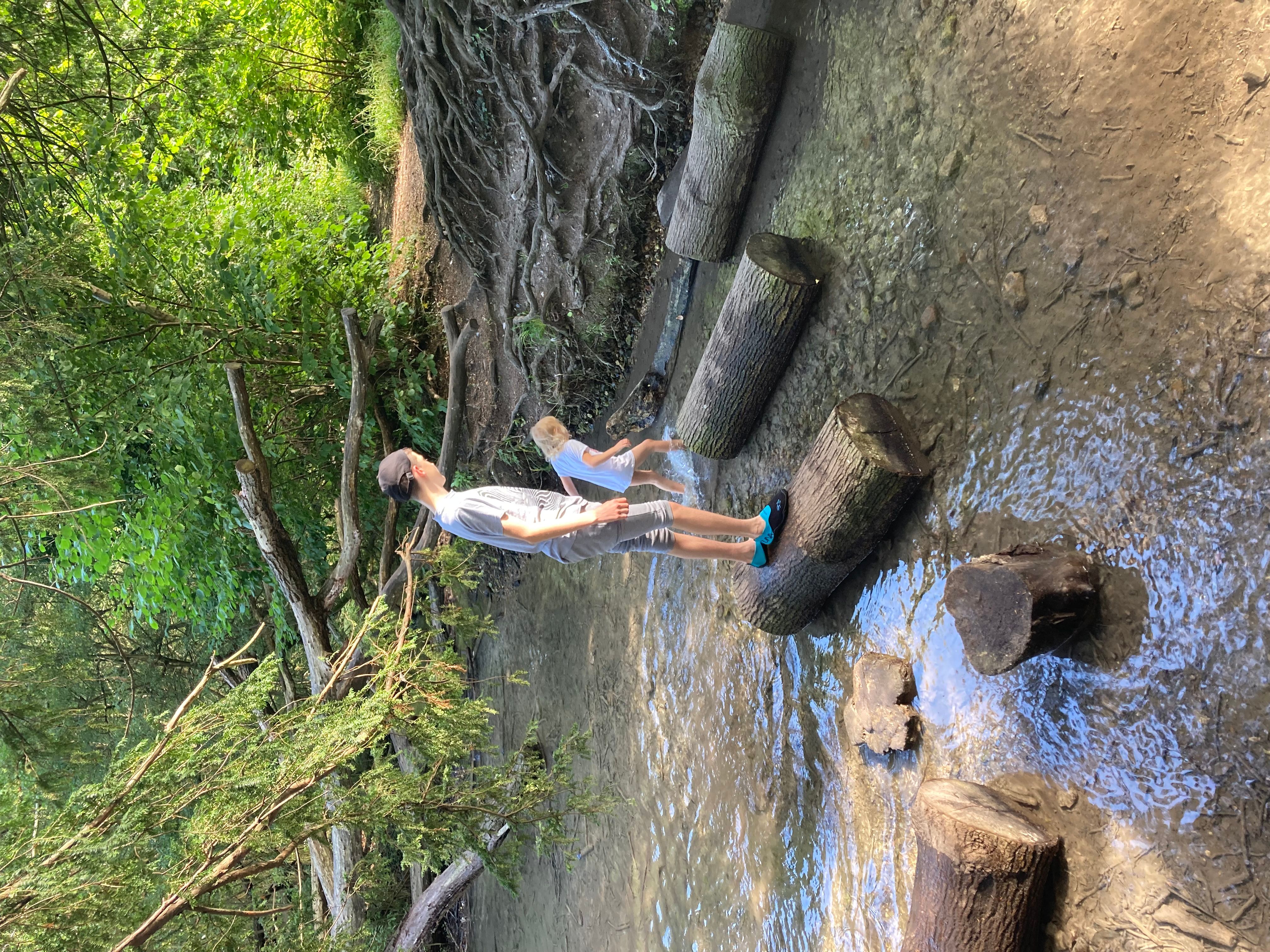 Jumping on logs in the stream