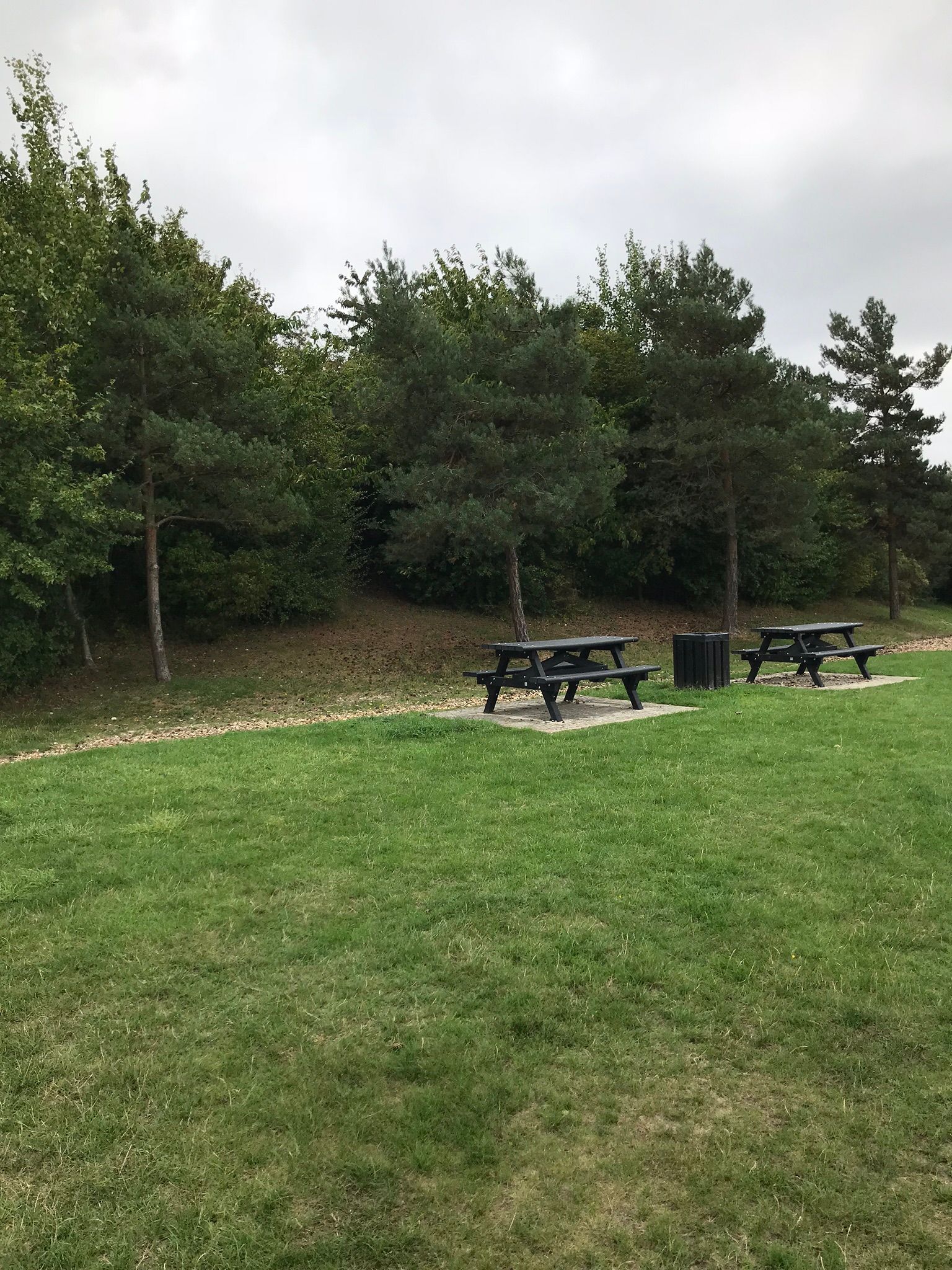Picnic benches in the park-land around Shark Park